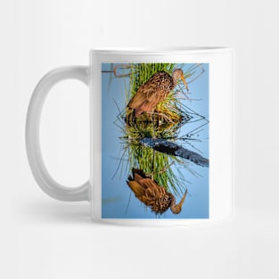 Brown Limpkin Mug